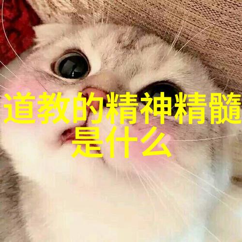 深山寻访道教文化遗存