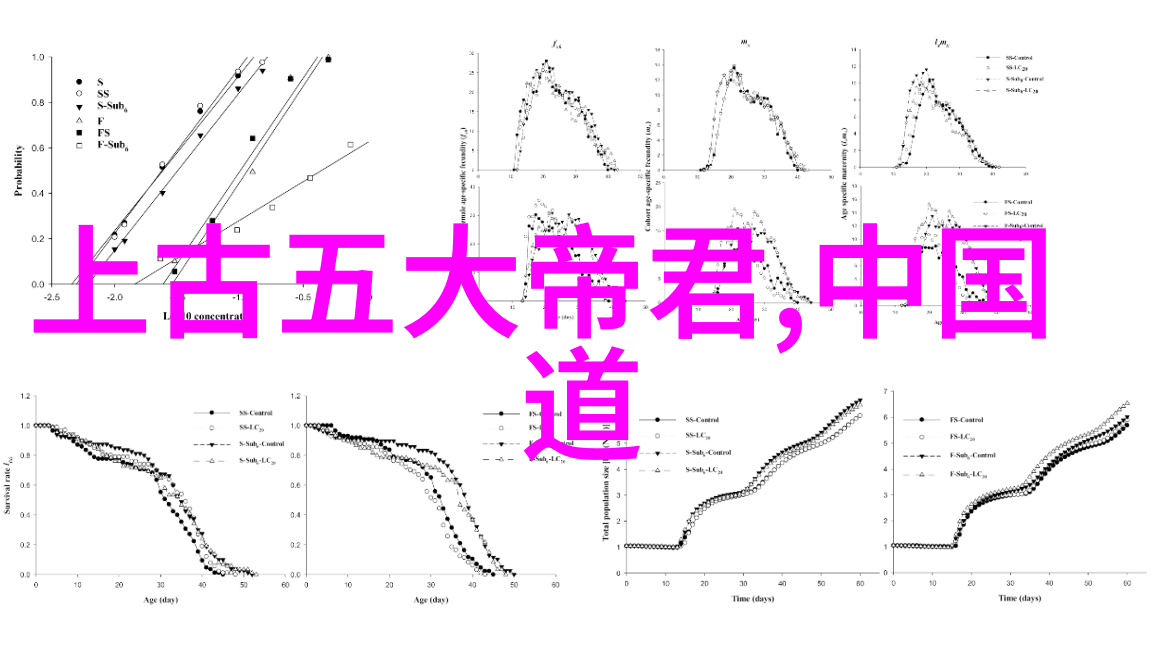 隋唐道教重玄哲学与