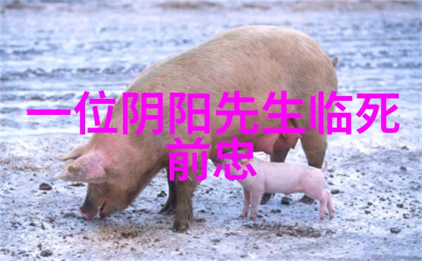 道教关于持斋的功德