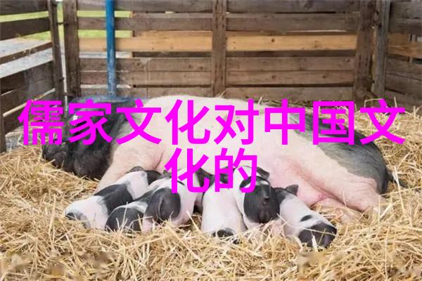 数字文化产品破圈 呼唤人才培养破题