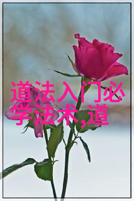 雪漠选择对修道的重要性